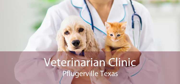 Veterinarian Clinic Pflugerville Texas