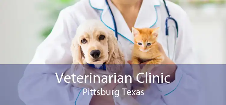 Veterinarian Clinic Pittsburg Texas