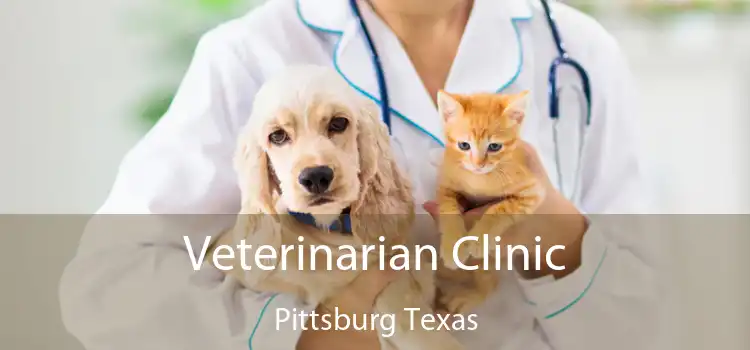 Veterinarian Clinic Pittsburg Texas