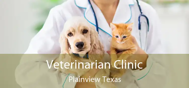 Veterinarian Clinic Plainview Texas