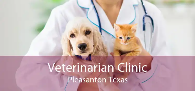 Veterinarian Clinic Pleasanton Texas