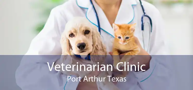 Veterinarian Clinic Port Arthur Texas