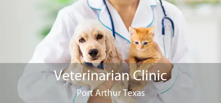 Veterinarian Clinic Port Arthur Texas