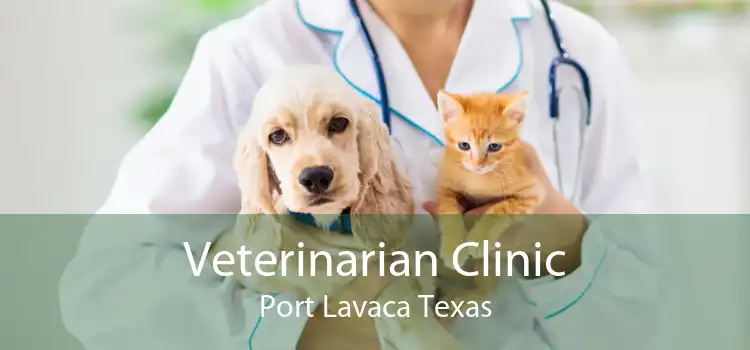 Veterinarian Clinic Port Lavaca Texas