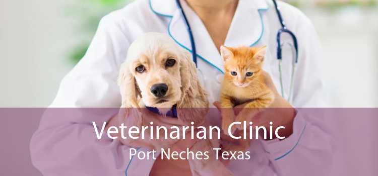 Veterinarian Clinic Port Neches Texas