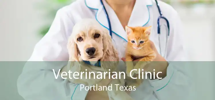 Veterinarian Clinic Portland Texas