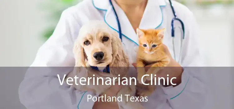 Veterinarian Clinic Portland Texas