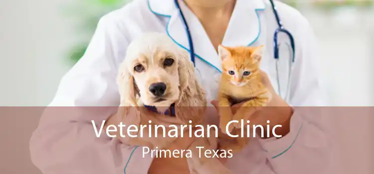 Veterinarian Clinic Primera Texas