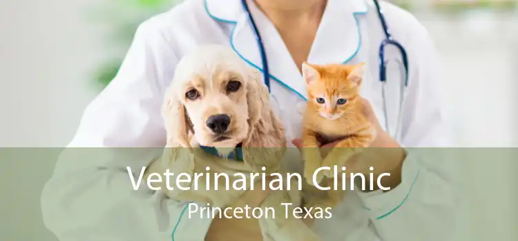 Veterinarian Clinic Princeton Texas