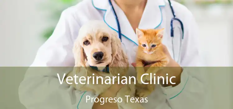 Veterinarian Clinic Progreso Texas