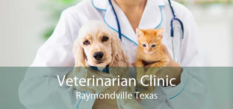 Veterinarian Clinic Raymondville Texas