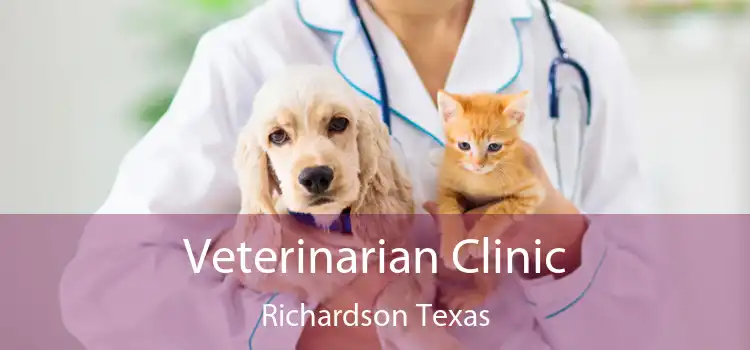 Veterinarian Clinic Richardson Texas