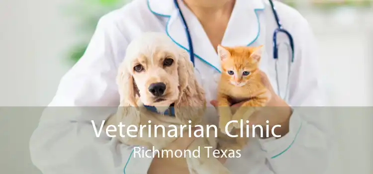 Veterinarian Clinic Richmond Texas