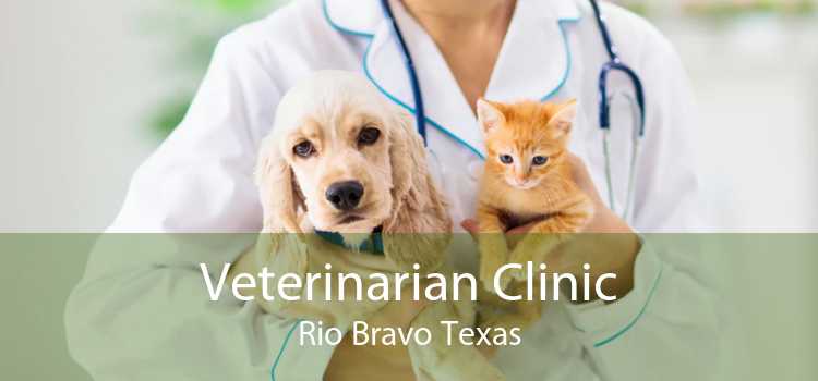 Veterinarian Clinic Rio Bravo Texas