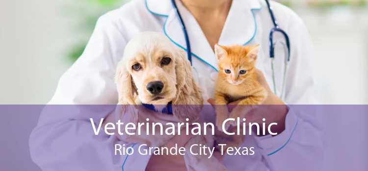 Veterinarian Clinic Rio Grande City Texas
