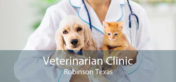 Veterinarian Clinic Robinson Texas