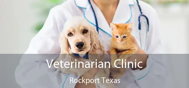 Veterinarian Clinic Rockport Texas