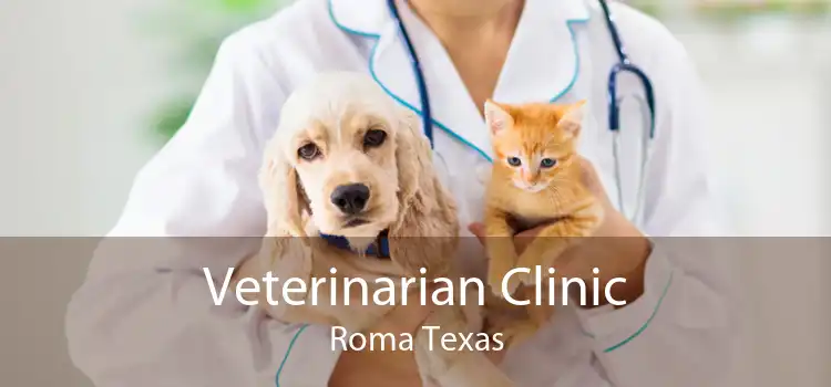 Veterinarian Clinic Roma Texas