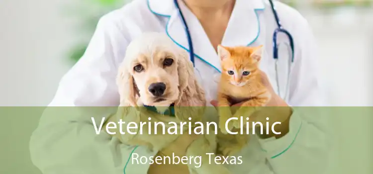 Veterinarian Clinic Rosenberg Texas