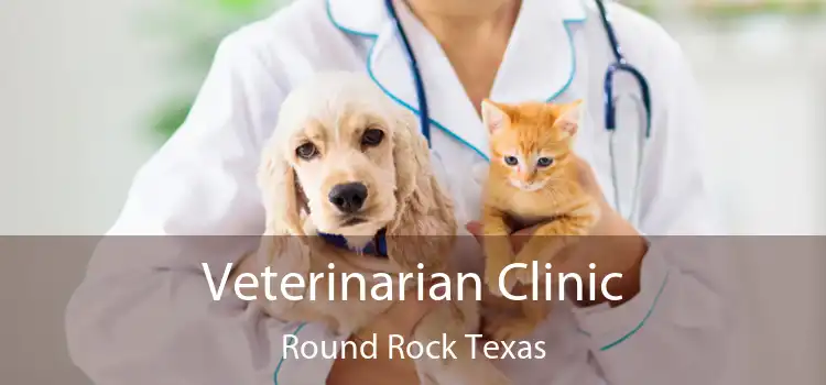 Veterinarian Clinic Round Rock Texas