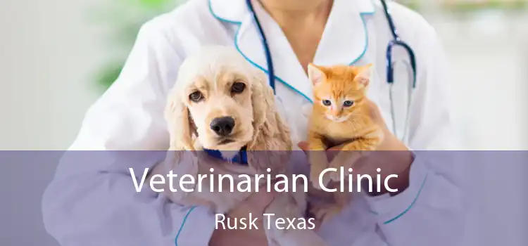 Veterinarian Clinic Rusk Texas