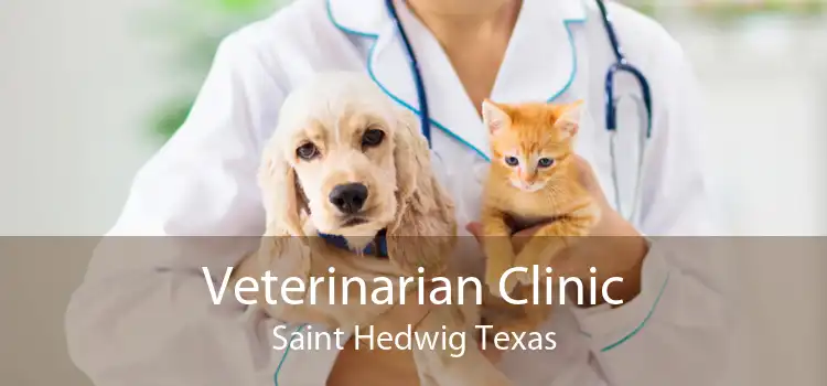 Veterinarian Clinic Saint Hedwig Texas