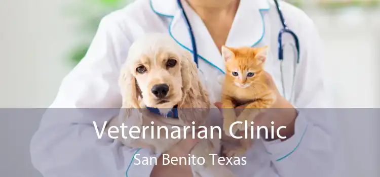 Veterinarian Clinic San Benito Texas