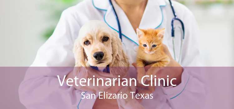 Veterinarian Clinic San Elizario Texas