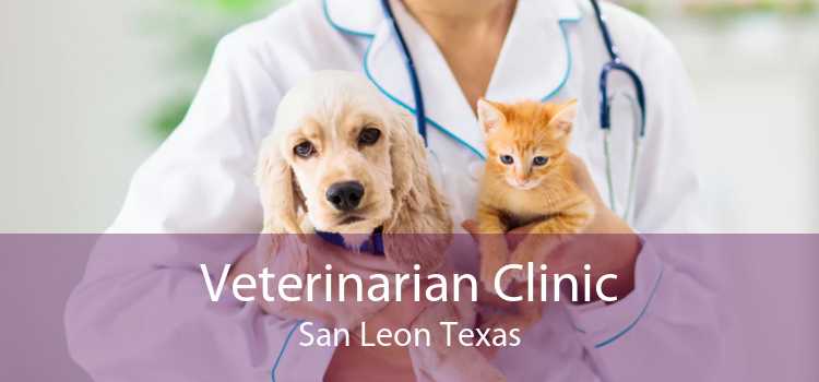 Veterinarian Clinic San Leon Texas