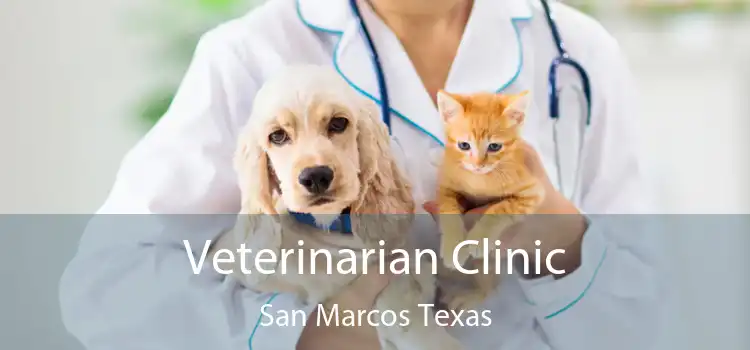 Veterinarian Clinic San Marcos Texas