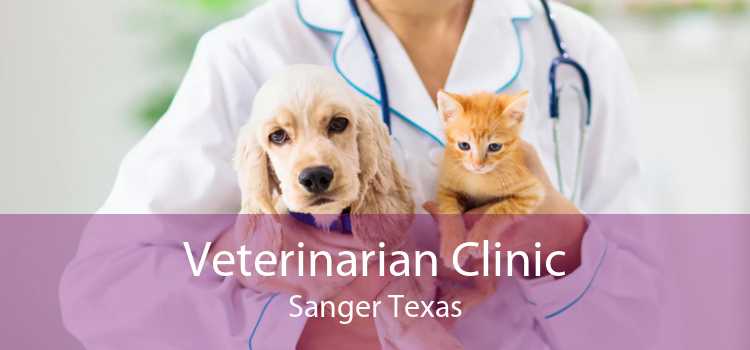 Veterinarian Clinic Sanger Texas