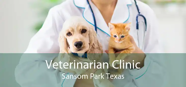 Veterinarian Clinic Sansom Park Texas