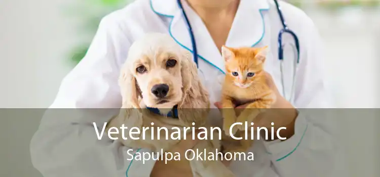Veterinarian Clinic Sapulpa Oklahoma