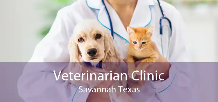 Veterinarian Clinic Savannah Texas