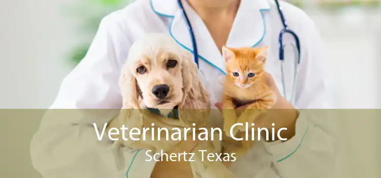 Veterinarian Clinic Schertz Texas