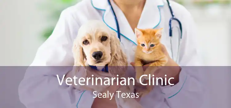 Veterinarian Clinic Sealy Texas