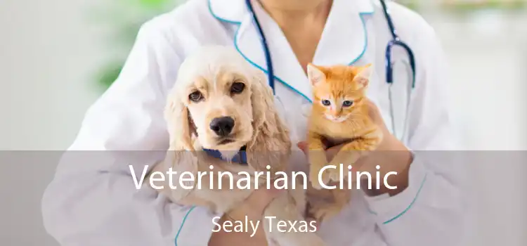 Veterinarian Clinic Sealy Texas