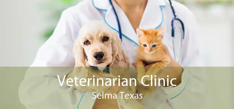 Veterinarian Clinic Selma Texas