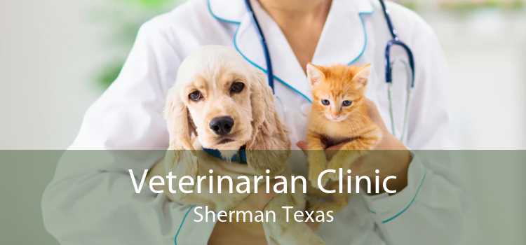 Veterinarian Clinic Sherman Texas