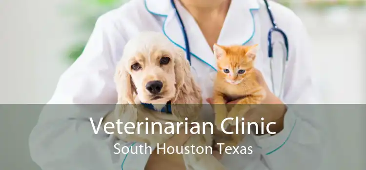 Veterinarian Clinic South Houston Texas