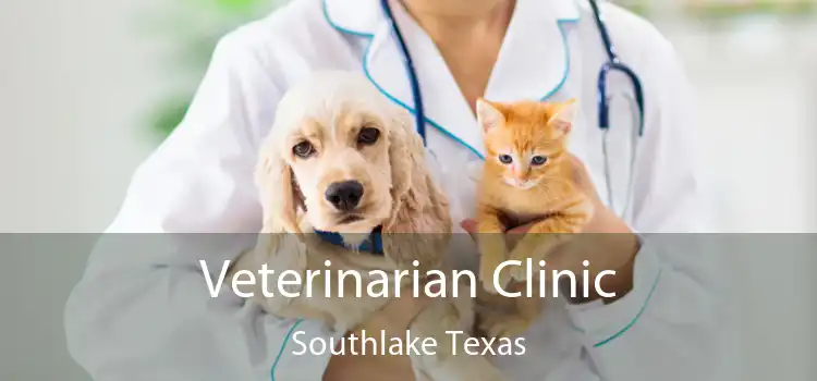 Veterinarian Clinic Southlake Texas