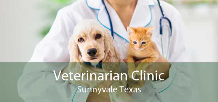 Veterinarian Clinic Sunnyvale Texas