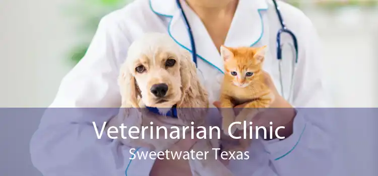 Veterinarian Clinic Sweetwater Texas