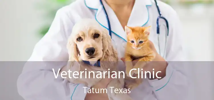 Veterinarian Clinic Tatum Texas