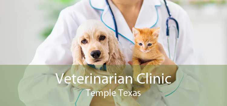 Veterinarian Clinic Temple Texas