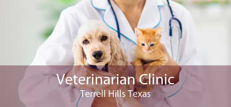 Veterinarian Clinic Terrell Hills Texas