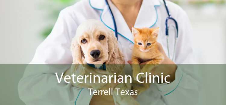 Veterinarian Clinic Terrell Texas
