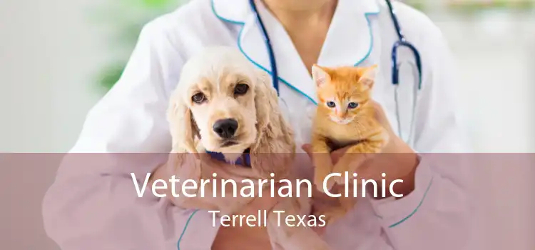 Veterinarian Clinic Terrell Texas