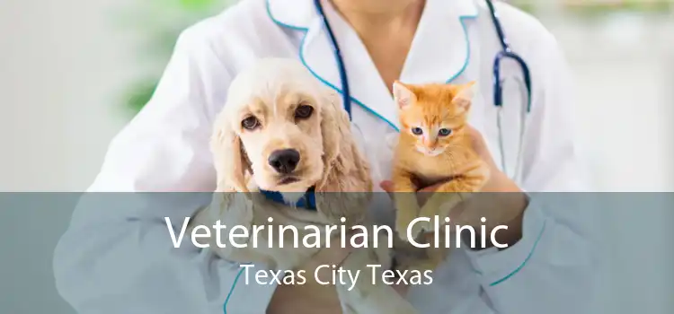 Veterinarian Clinic Texas City Texas