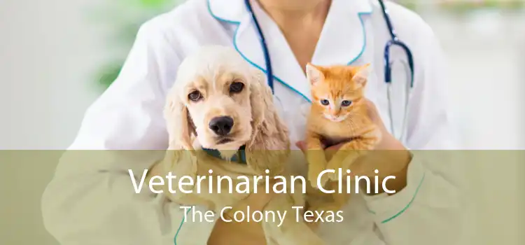 Veterinarian Clinic The Colony Texas